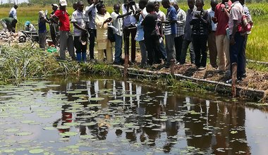 Journalists visit a project for ex-combatants’ reintegration