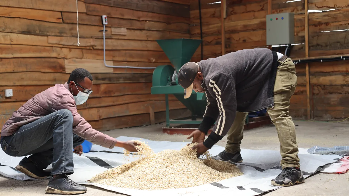 Un des volets les plus visibles du projet a été inauguré à Buhima, un village du groupement de Munigi : le premier moulin à grain communautaire.