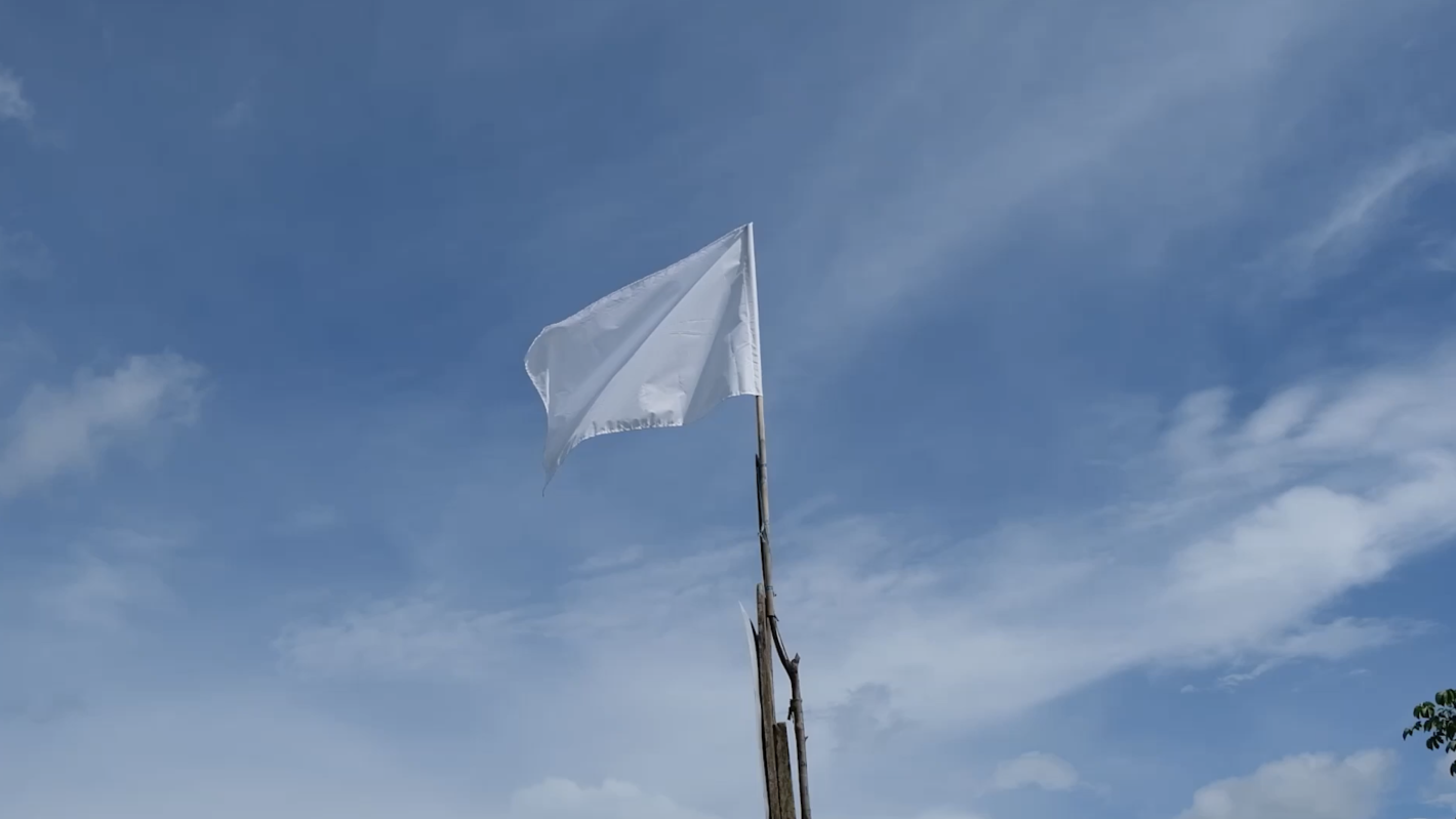 Día de la Paz 2025