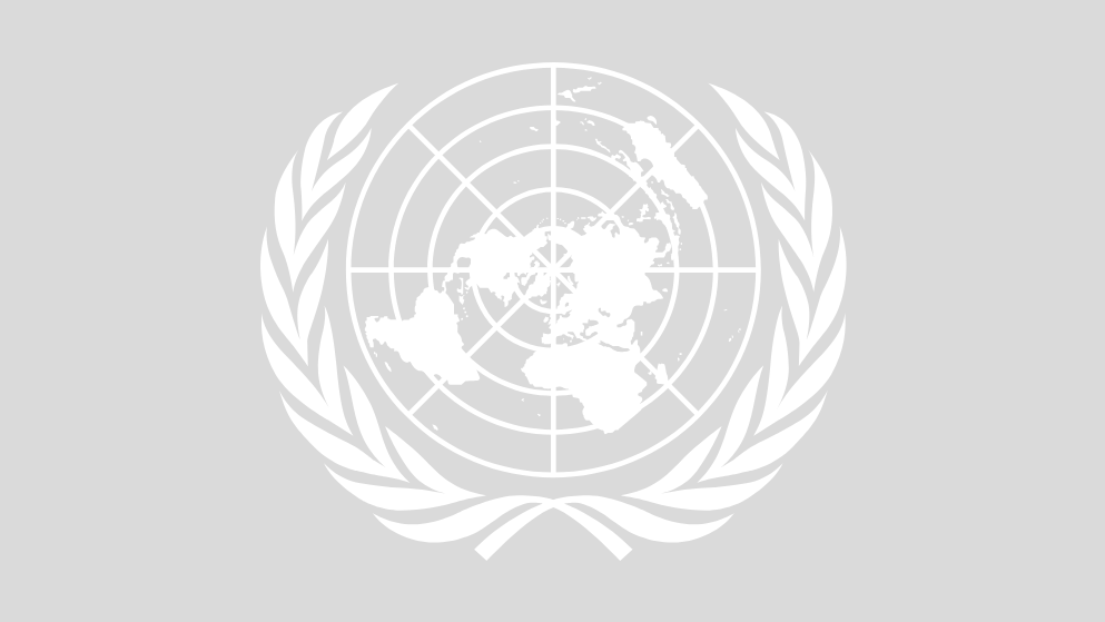 Logo Nations Unies