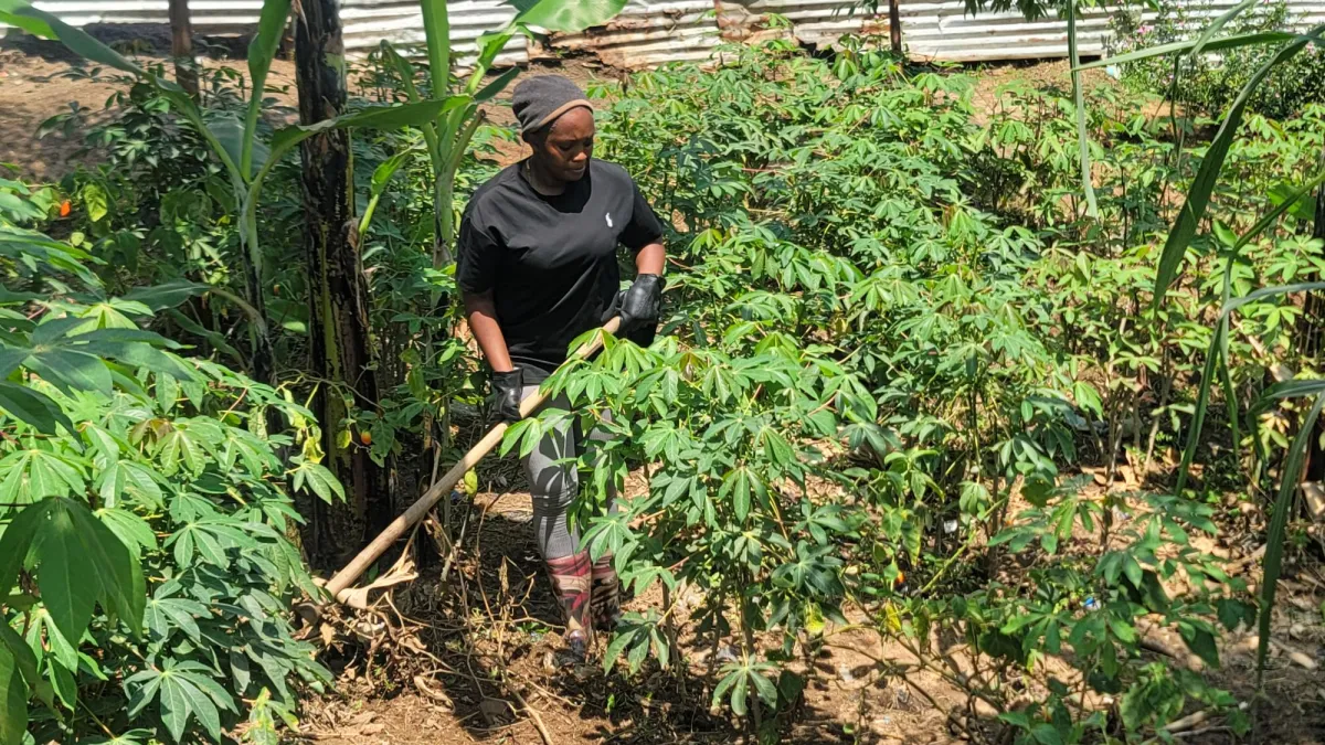 Job skills training in Ituri