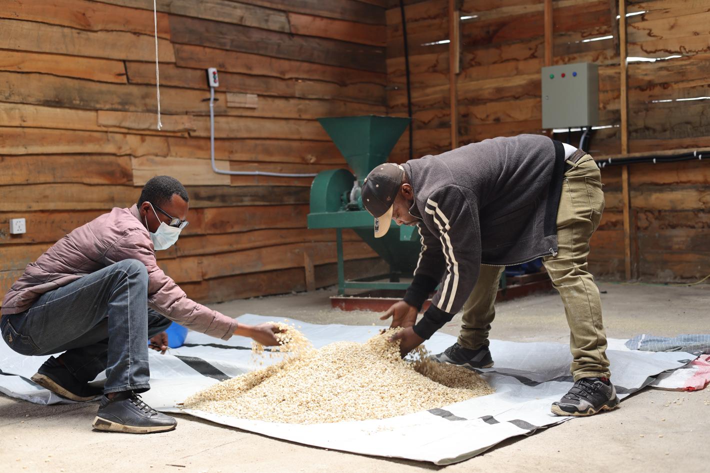 Un des volets les plus visibles du projet a été inauguré à Buhima, un village du groupement de Munigi : le premier moulin à grain communautaire.