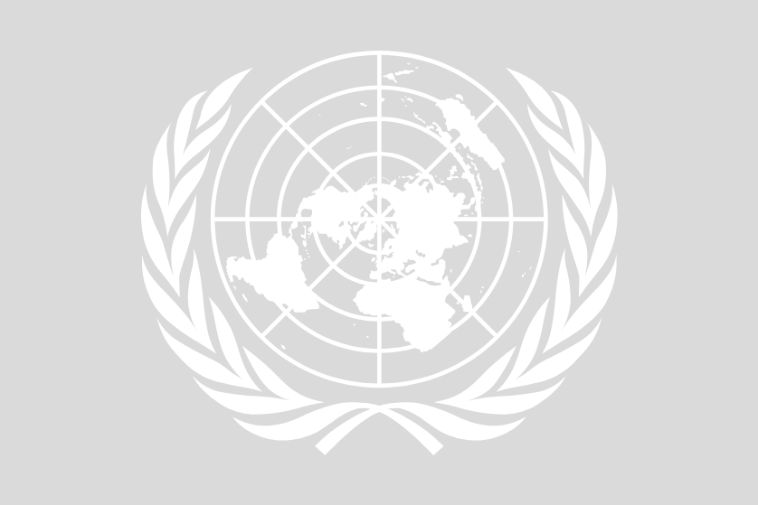 Logo Nations Unies