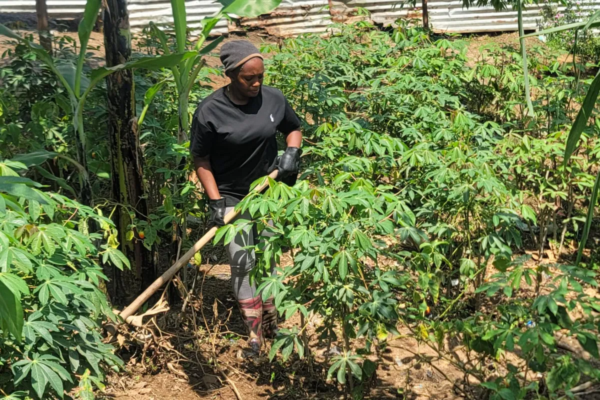 Job skills training in Ituri
