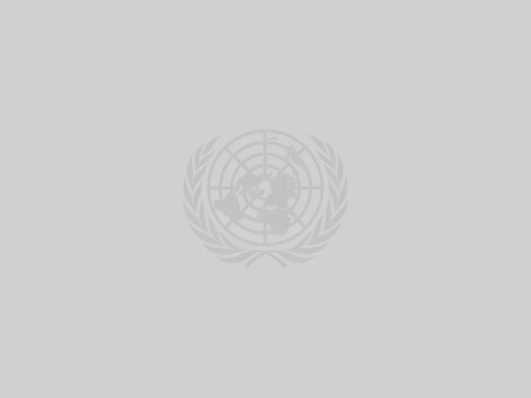 United Nations logo
