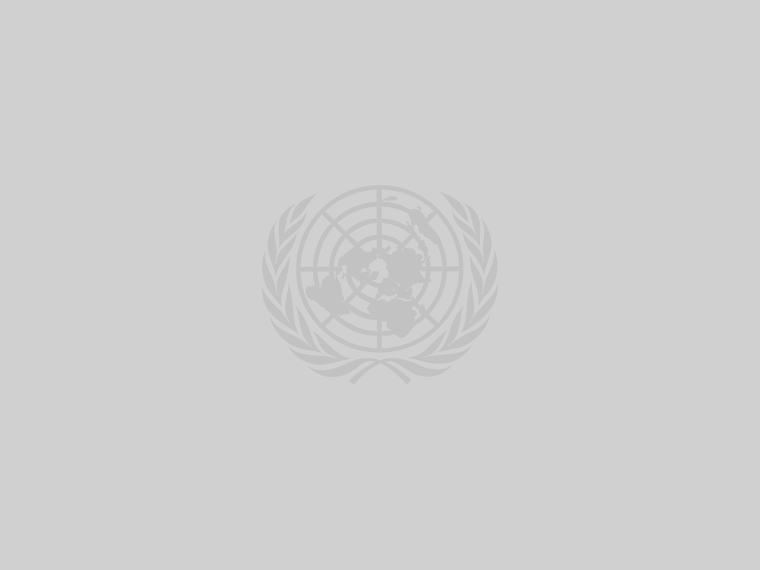 United Nations logo