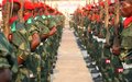 Sud-Kivu: 11 militaires condamnés pour crime contre l’humanité