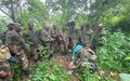 Nord-Kivu : La MONUSCO forme des soldats congolais aux techniques de combats en jungle