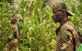 La MONUSCO invite les populations de Bwito à se désengager des groupes armés