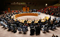 Le Conseil de sécurité des Nations Unies proroge le mandat de la MONUSCO jusqu'au 20 décembre 2019