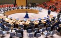 Security Council Press Statement on the situation in the Democratic Republic of the Congo 