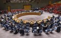 Security Council Press statement on the Democratic Republic of the Congo 