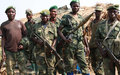 RDC : le Conseil de sécurité reconduit les sanctions financières et sur les armes