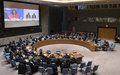  le Conseil de sécurité prend note des résultats des élections et appelle à préserver la paix