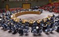 Security Council Press Statement on Electoral Preparations in the DRCpublic of Congo