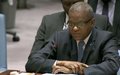 Déclaration du Chef de la MONUSCO, Maman Sambo Sidikou, devant le Conseil de sécurité des Nations Unies 