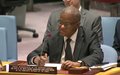 Briefing by SRSG Maman Sidikou to the UN Security Council – Open Session