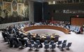 Security Council Press statement on the situation in the Democratic Republic of the Congo