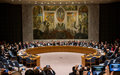 The members of the Security Council strongly condemned the violence witnessed in the Kasaï region over recent months.