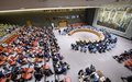 RDC: le Conseil de sécurité appelle à accélérer la mise en œuvre de l'accord du 31 décembre