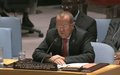 Martin Kobler, Head of MONUSCO, briefs the UN Security Council on the situation in DRC