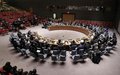 RDC: le Conseil de sécurité demande au gouvernement et à la MONUSCO de neutraliser les groupes armés