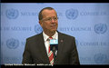 VIDEO - Martin Kobler (MONUSCO) on DRC - Security Council Media Stakeout (14 January 2014)